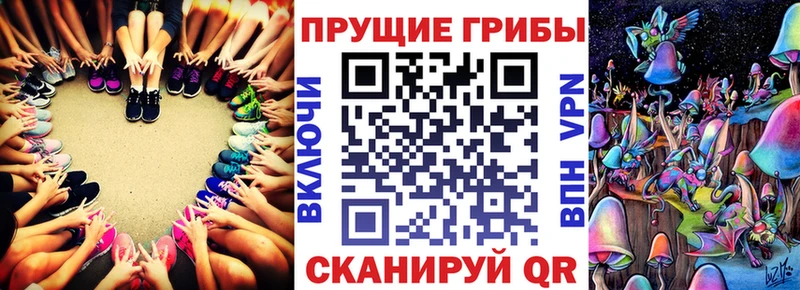 Галлюциногенные грибы Psilocybine cubensis цена наркотик Емва